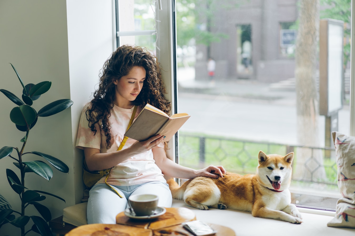 a woman sitting on a window sill reading a book next to two dogs from 30 Books Everyone Should Read at Least Once (Essential List)