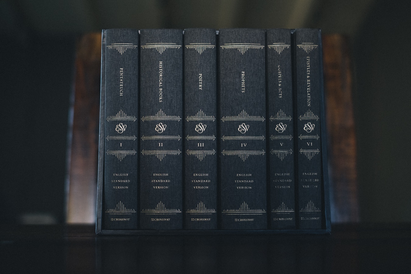 black and white labeled book collection of Civil War Book